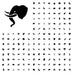 Elephant icon illustration. animals icon set for web and mobile.