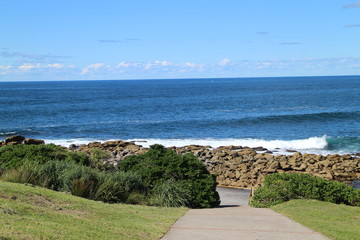 Clovelly beach Australia