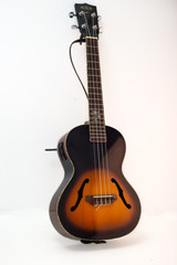 Obraz premium Mandolin