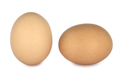 Eggs on White Background