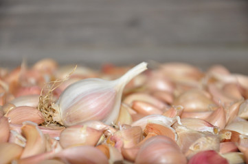 Garlic Cloves and Garlic Bulb on wooden background, Garlic, healthiest vegetables in house