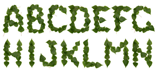 Letters from leaves lime. Alphabet