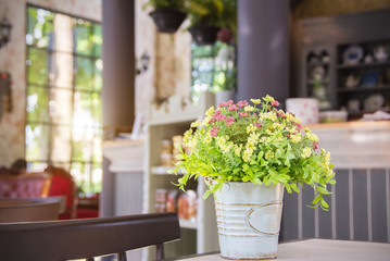 A small plant pot displayed in a coffee shop in the province