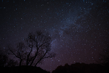 Fototapeta premium Milky Way Over Zion