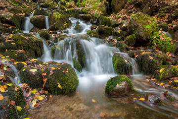 Fototapeta na wymiar Landscape photograph of yedigoller falls in the yedigoller National Park of Bolu,Turkey.