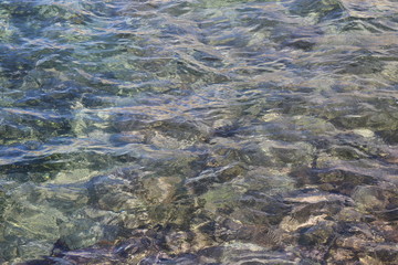 ocean rock pool Australia