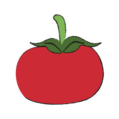 Tomato fresh vegetable