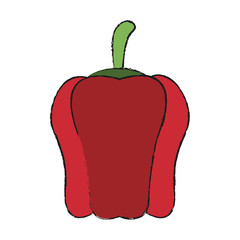 Pepper fresh vegetable