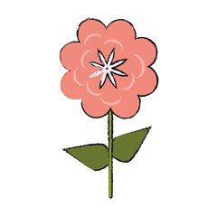 Beautiful flower bouquet