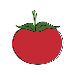 Tomato fresh vegetable icon vector illustration graphic design