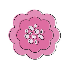 Beautiful flower symbol icon vector illustration graphic design