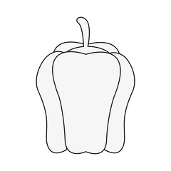 Pepper fresh vegetable icon vector illustration graphic design