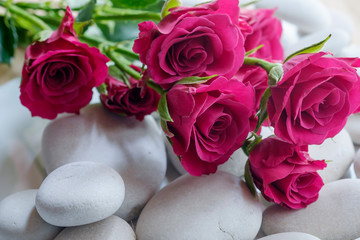Розы на гальке