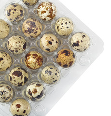 Quail eggs in a transparent plastic container on a white