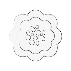 Beautiful flower symbol icon vector illustration graphic design