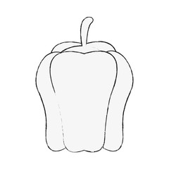 Pepper fresh vegetable icon vector illustration graphic design