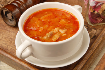 Closeup of borsch, russian national red soup