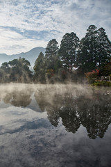 朝霧の金鱗湖