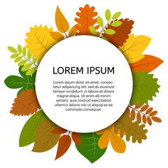 Colorful autumn leaves under white round label. Vector card with yellow leaves isolated on white background
