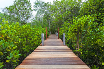 Wooden bridge at Tung Prong Thong,Golden Mangrove Field,Pra Sae, Rayong, Thailand.