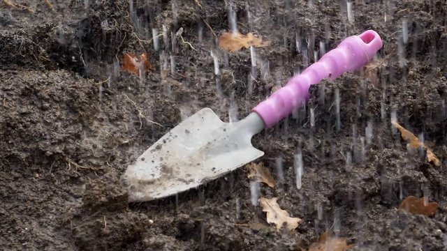 Gardening trowel in heavy rain