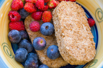 Blueberries and Raspberries in a bowl