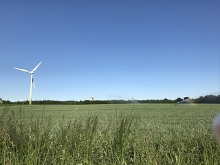 Feld, Wiese, Hund, Pflanze, Sonne, Wolken, Strand, Sonnenuntergang, Meer, See, Frost, Tau,