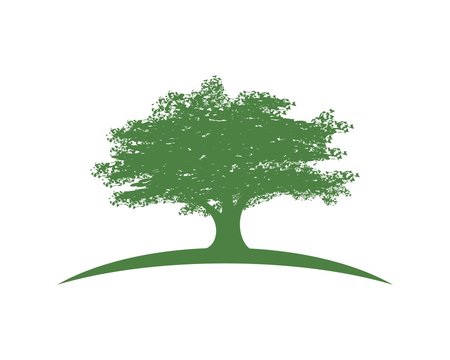 Oak Tree capital