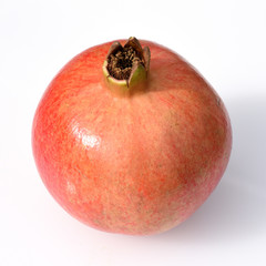 Granatapfel, Punica, granatum