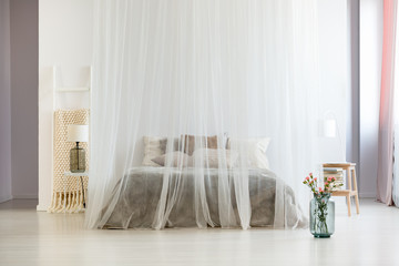 Homely bedroom interior with canopy