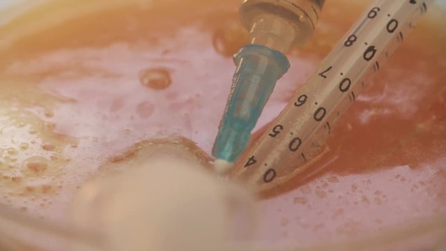 Medical syringe put in a glass bowl with drugs stands on the table 