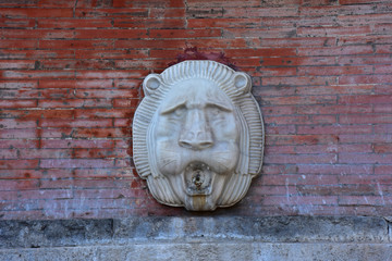 Napoli, Capodimonte, fontana della Duchessa, particolare