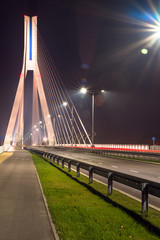 Highway going through a cable-stayed bridge