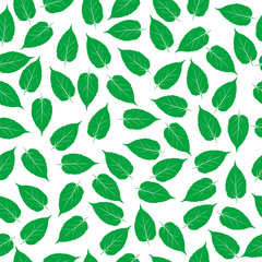 Green leaves on white background