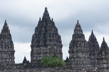 Fototapeta premium SONY DSC