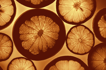 Citrus fruits slices