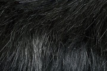 Fur leather texture background