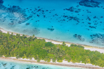 Aerial view of Maldives island. Blue sea and palm trees and white sand on the beach