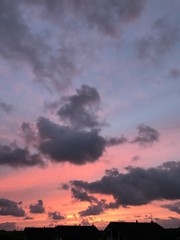 Feld, Wiese, Hund, Pflanze, Sonne, Wolken, Strand, Sonnenuntergang, Meer, See, Frost, Tau,