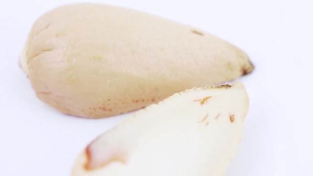 Purified ossicle of avocado