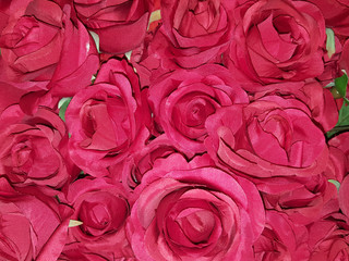 red pink roses flowers background close up