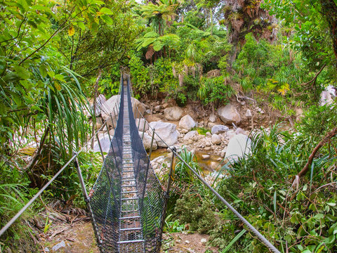 Metal Swingbridge On The Heaphy Track