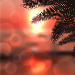 Sea red sunset with palmtree leaves and light on lens