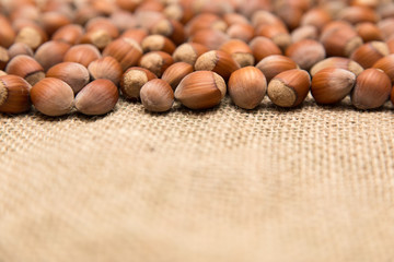 Several hazelnut on a jute fiber fabric with blurred background.