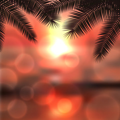 Sea red sunset with palmtree leaves and light on lens