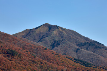 蒜山高原から望む烏ケ山