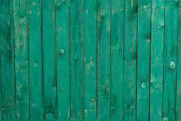 Dark lime vintage wooden boards. Backgrounds and textures fence painted. Front view. Attract beautiful vintage background.
