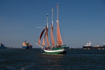 Fototapeta premium sailboat on the wind
