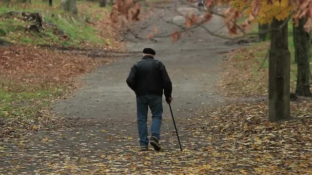 Old man with a stick walks away in an autumn park with a fallen foliage on his path (720p, 25fps)