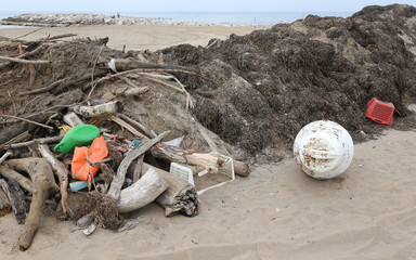 debris and dry branches with garbage and plastic pieces gathered